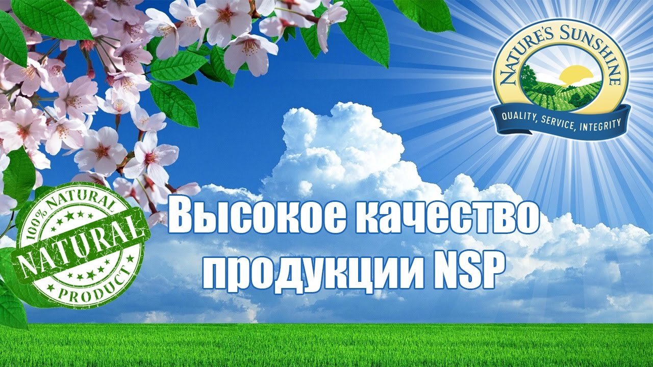 Информация о компании NSP