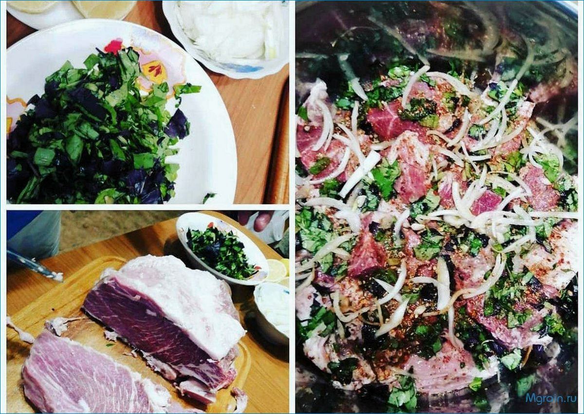 Шашлык с базиликом — секреты приготовления, неповторимый аромат и вкусовые изыски в одном блюде!